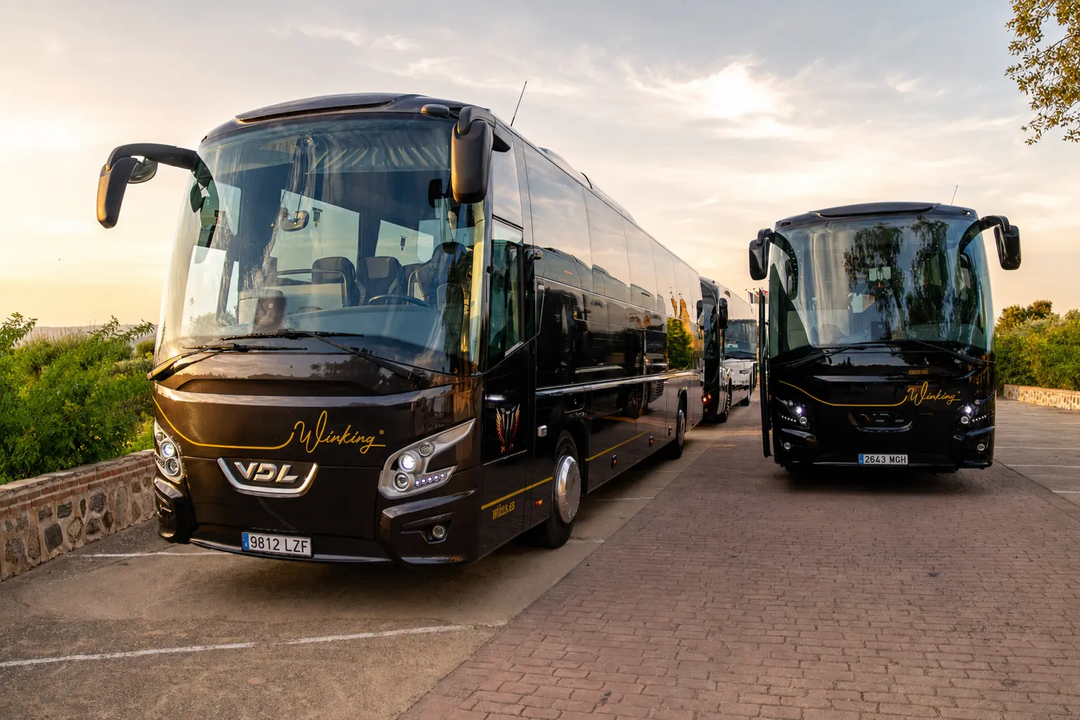Flota de traslados de Winking Bus al atardecer